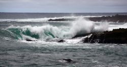 Crashing Wave. Photo taken at Sharks Cove, HI. by Mathew Cook 